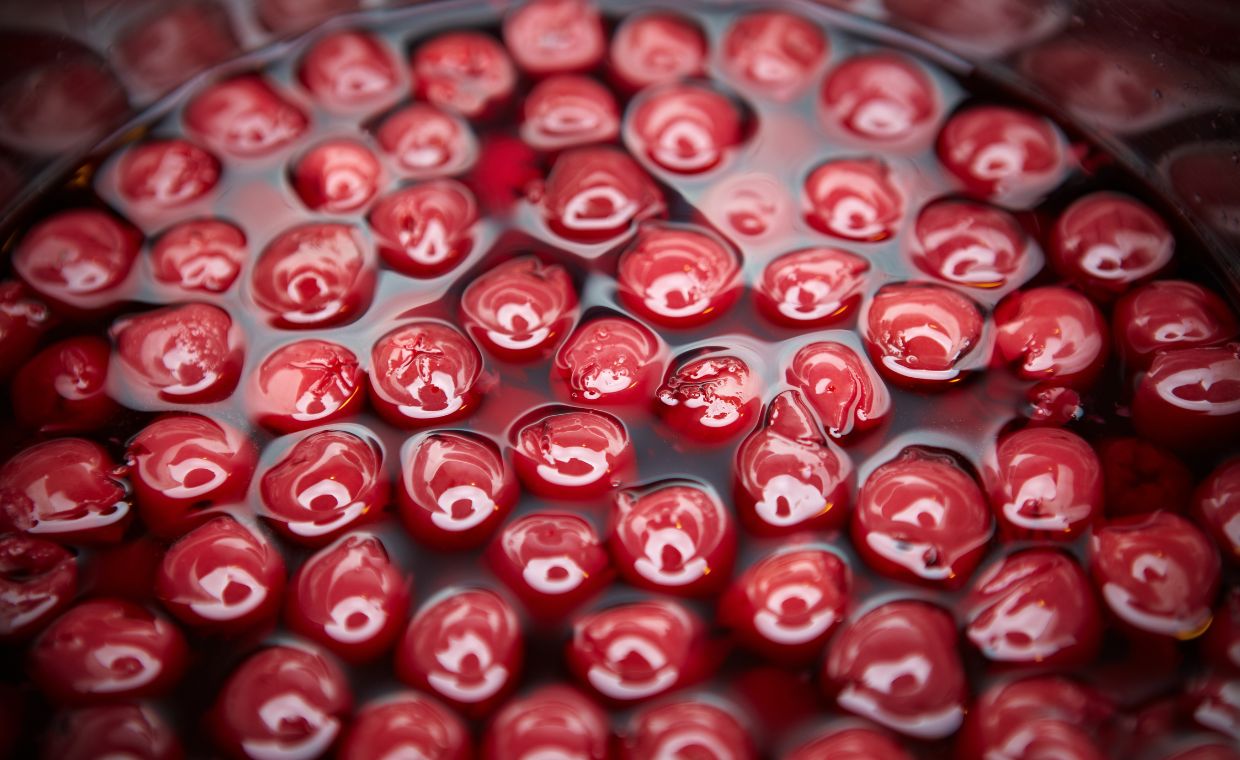 Comment faire des cerises amarena maison : recette pas à pas | Take eat easy