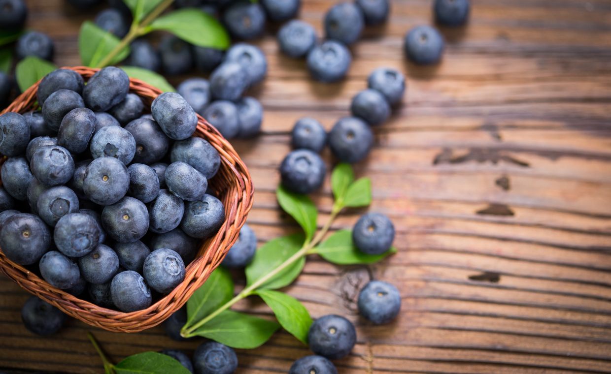 Myrtilles : Y a-t-il des dangers à en consommer ? | Take eat easy