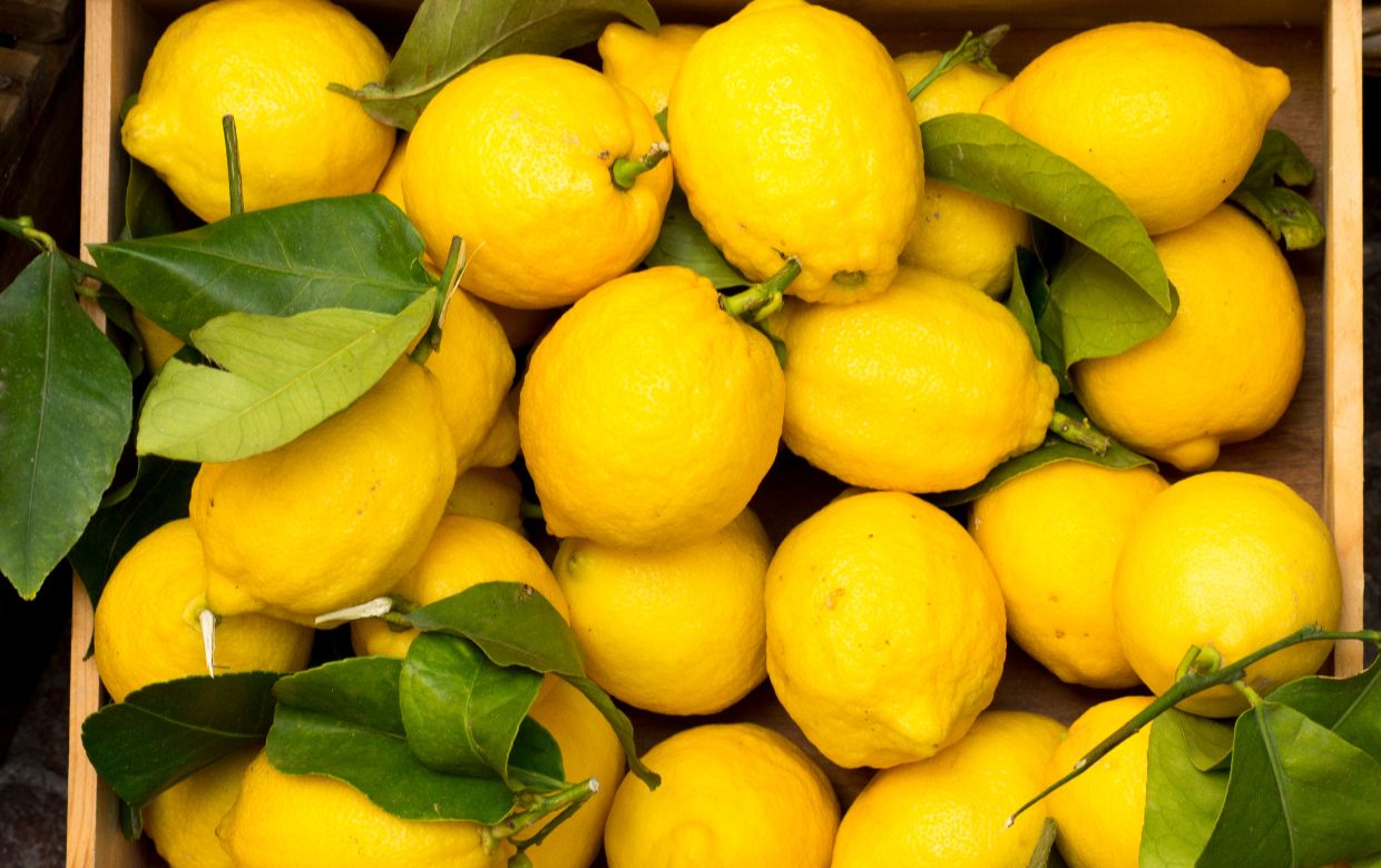 Que faire avec beaucoup de citrons jaunes ? | Take eat easy
