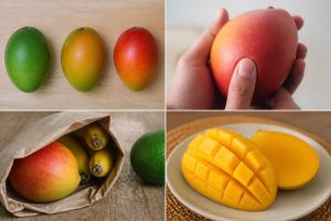 Comment reconnaître une mangue mûre et la faire mûrir